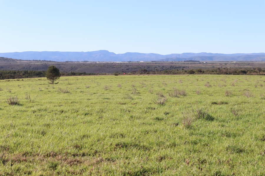 0 Bedroom Property for Sale in Twin Valley Eastern Cape